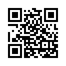 QR CODE 329