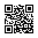 QR CODE 336