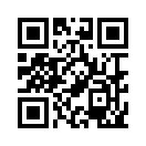 QR CODE 1337