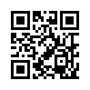 QR CODE 1381