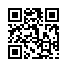 QR CODE 2231