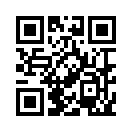 QR CODE 2311