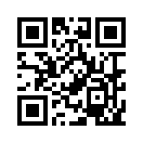 QR CODE 2313