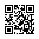 QR CODE 2393