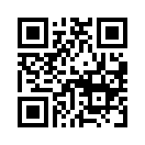 QR CODE 2461
