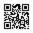 QR CODE 2595