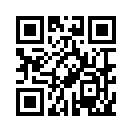 QR CODE 2817