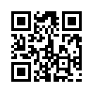 QR CODE 2838