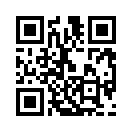 QR CODE 913