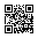 QR CODE 31