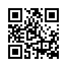 QR CODE 1271
