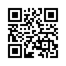 QR CODE 1733