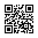 QR CODE 1771