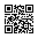 QR CODE 217