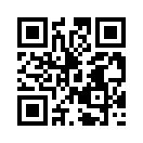 QR CODE 308