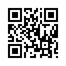 QR CODE 342