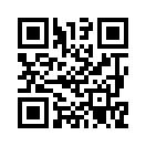 QR CODE 401