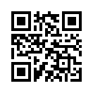 QR CODE 461