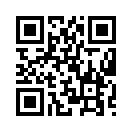 QR CODE 568