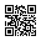QR CODE 738