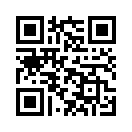 QR CODE 813