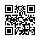 QR CODE 133