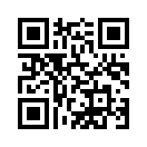 QR CODE 329
