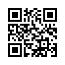 QR CODE 394