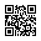 QR CODE 461