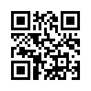 QR CODE 494