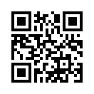 QR CODE 501