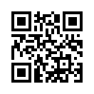 QR CODE 529