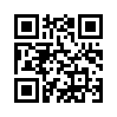 QR CODE 538