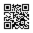 QR CODE 29