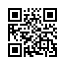 QR CODE 317