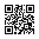 QR CODE 228