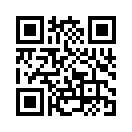 QR CODE 295