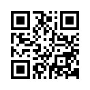 QR CODE 308