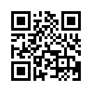 QR CODE 31