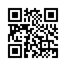 QR CODE 316