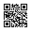 QR CODE 317