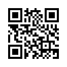 QR CODE 329