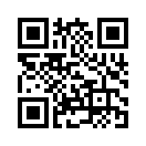 QR CODE 329