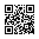 QR CODE 80