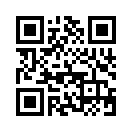 QR CODE 81