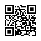 QR CODE 110