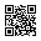 QR CODE 133