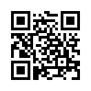QR CODE 213