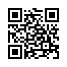 QR CODE 216