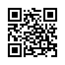 QR CODE 394